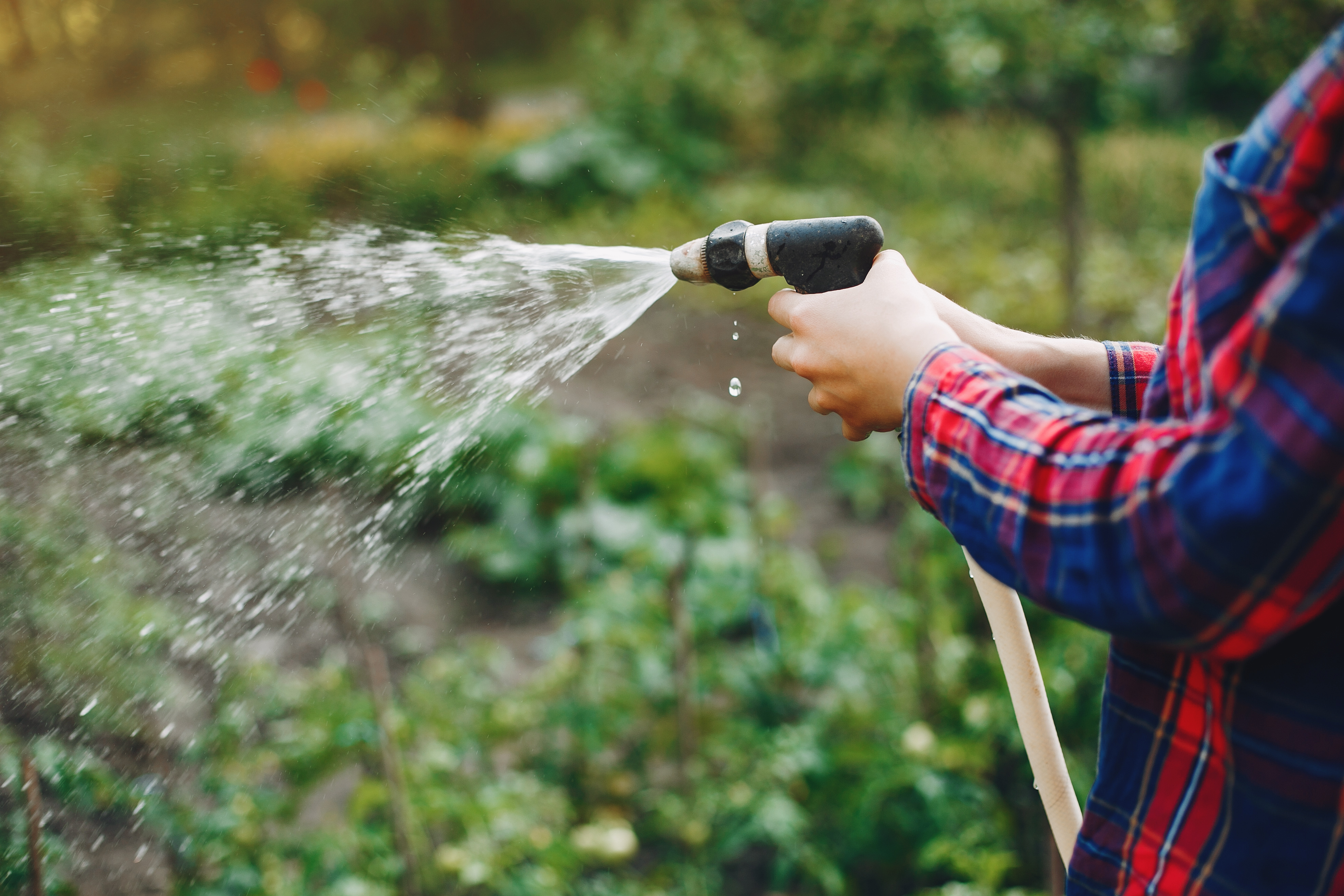 Eau, extraits à l’eau & solutions fertilisantes