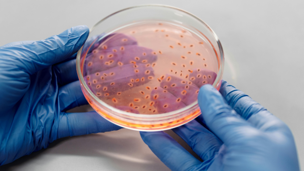 Microbiologie des cosmétiques